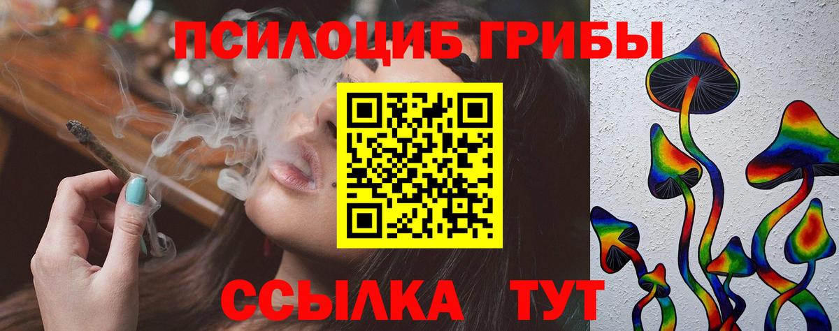 Галлюциногенные грибы Psilocybe Маркс
